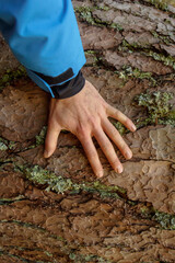 Man's hand touching the trunk of a tree. Preservation of the environment. international planet day