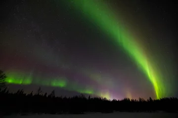Zelfklevend Fotobehang Colourful Northern Lights or Aurora Borealis in Lapland above the arctic circle in the north of Finland, around Pallas National Park © Reto Ammann