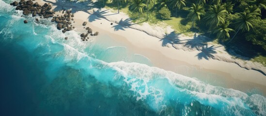 This aerial view showcases a stunning tropical beach lined with lush palm trees and crystal clear...
