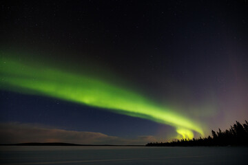 Colourful Northern Lights or Aurora Borealis in Lapland above the arctic circle in the north of Finland, around Pallas National Park