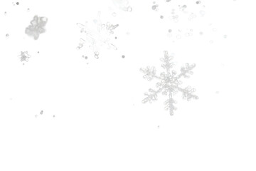 Snowflakes on Dark Backdrop with Delicate Icy Detail, Generative AI
