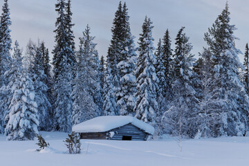 Hut in the forest grown over with frost in deep Winter in northern Finland, above the arctic...