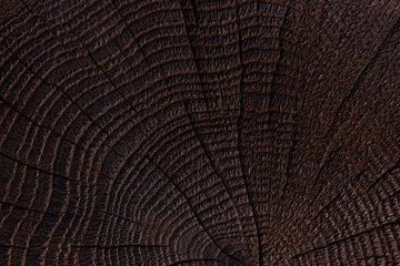 Tuinposter Burnt wood texture. Dark wooden background. Close up © Xamtim