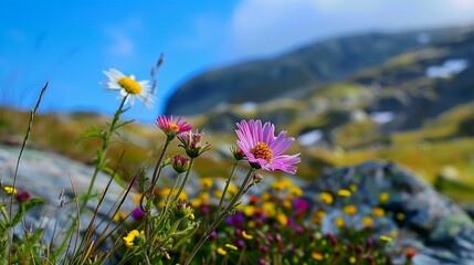 Beautiful view of flowers in the meadow landscape background