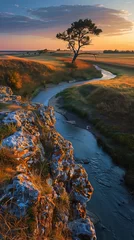 Foto op Canvas tree sitting rock formation next river countryside erosion channels open plains warm sundown middle earth normandy pathways stunningly © Cary