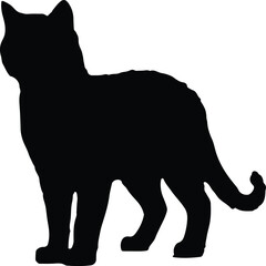 Cat Silhouette illustration Vector White Background