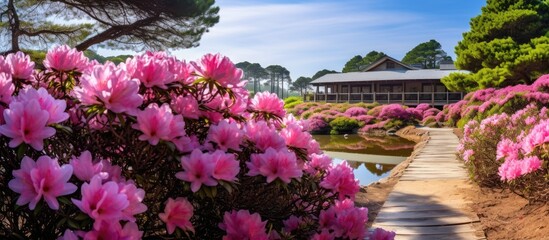 Fototapeta na wymiar Pink flowers are in full bloom on the side of a path at Fort Bragg, creating a colorful and inviting scene for visitors to enjoy. The flowers add a vibrant touch to the surroundings, enhancing the
