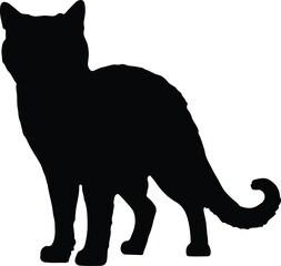 Cat Silhouette illustration Vector White Background