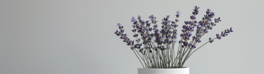 An arrangement of sparse lavender stems in a sleek, white cylindrical vase - obrazy, fototapety, plakaty