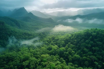 Foto op Aluminium Tropical Evergreen Rain Forest, Rain Forest The nature of various plant species It is complete in terms of ecosystems, biomes, fertile areas, high angle reserved forests, and drone views.Landscape. © Sittipol 