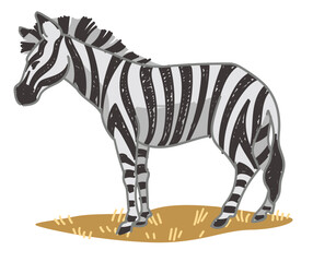 Zebra equine animal with stripes on skin vector