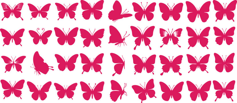 Pink butterfly vector set of butterflies