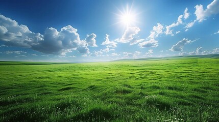 Green meadow under blue sky with clouds