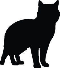 Cat Silhouette illustration Vector White Background