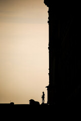 Fototapeta premium silhouette of a palace guard in Stockholm, Sweden