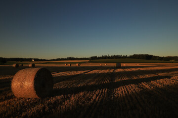 straw bales on a stubble field at sunset