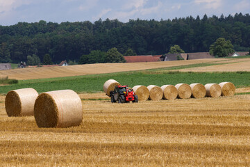 stacking hay bales on a stubble field