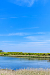 仙台　蒲生(がもう)干潟
