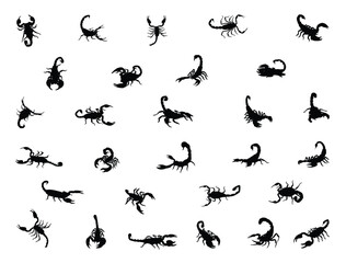 Scorpion silhouette vector art white background