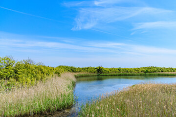 仙台　蒲生(がもう)干潟
