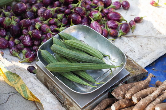 Ridge gourd on Weighing Machine at the farmers market
