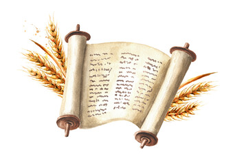 Torah and wheat. Symbol of Jewish holiday Shavuot. Watercolor hand drawn illustration, isolated on white background