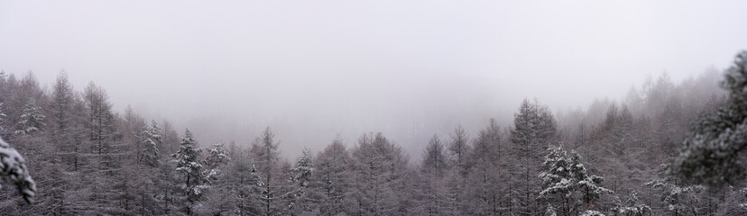 Fototapeta na wymiar 雪山のパノラマ風景