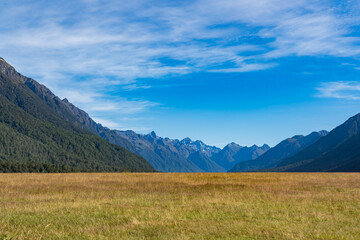 ニュージーランドのエグリントンバレー