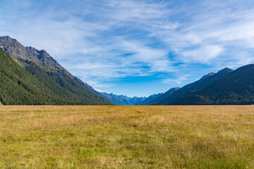 ニュージーランドのエグリントンバレー