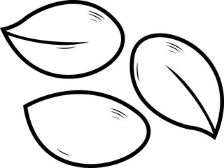 Peanut doodle sketches