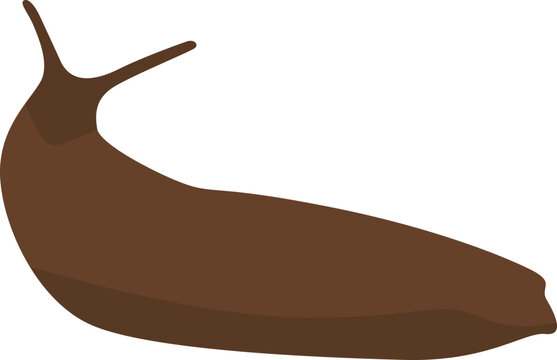 Slug