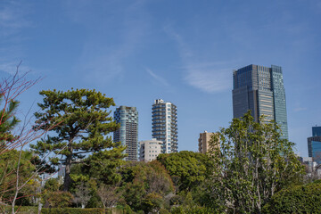 東京港区南青山2丁目の風景