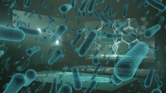 Animation of bacteria cells over science data processing