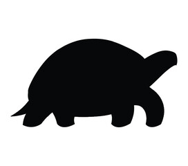 African Helmeted Turtle. Vector image. White background.