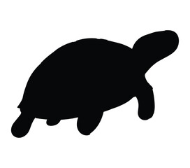 African Helmeted Turtle vector. African Helmeted Turtle vector icon in flat style.