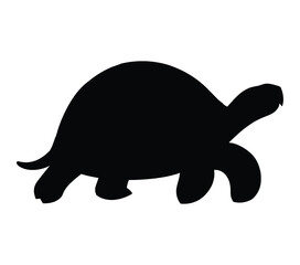 Vector graphic of African Helmeted Turtle.