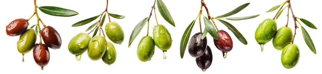 Gordijnen Set of olive branches with ripe and delicious olives, cut out © Yeti Studio