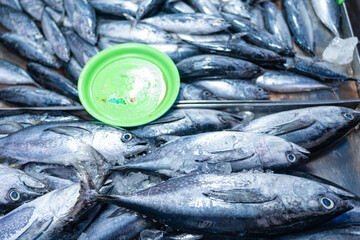 Fresh seafood variety fish sell in traditional asian market - 749178356