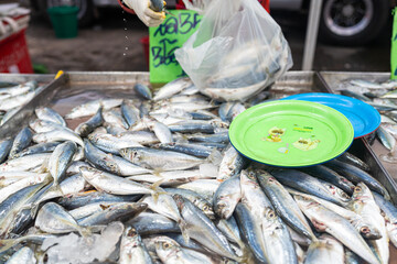 Fresh seafood variety fish sell in traditional asian market - 749178733