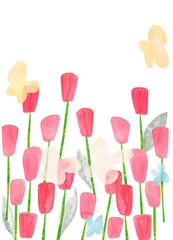 チューリップ２