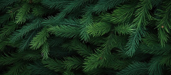 The image showcases a detailed close up of a pine tree, highlighting the intricate texture and...
