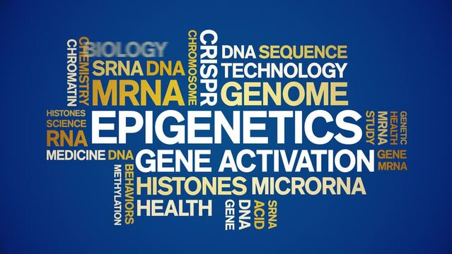 Epigenetics animated word cloud;text design animation tag kinetic typography seamless loop.
