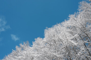 雪山と青空の風景