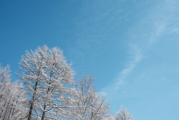 Fototapeta na wymiar 雪山と青空の風景