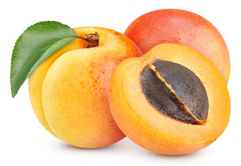 Isolated apricot with leaf