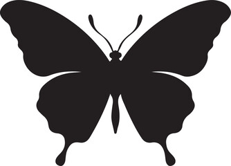 Butterfly Silhouette Vector Illustration White Background
