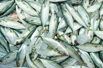Fresh seafood variety fish sell in traditional asian market - 749188598