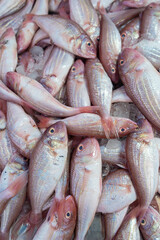 Fresh seafood variety fish sell in traditional asian market - 749188709