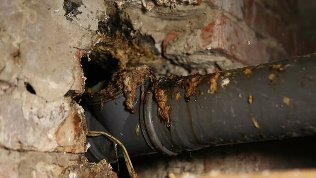 A plastic sewer pipe in the basement has burst, causing feces and toilet paper to leak out. There is an accident in the basement of a high-rise building, the sewage system is clogged. Looping, endless