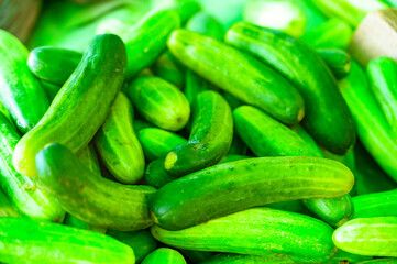 Fresh cucumbers on the market stall